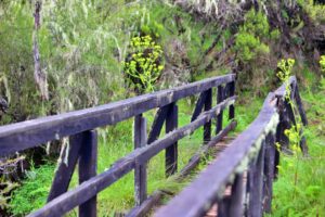 Aberdare National Park Camping
